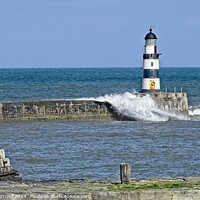 Buy canvas prints of Seaham Lighthouse, Durham Coast by Martyn Arnold