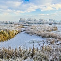 Buy canvas prints of Winter at Rutland Water Landscapes by Martyn Arnold