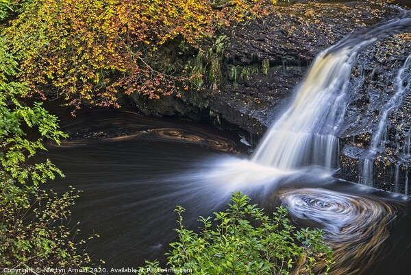 Hamsterley Forest Woodland Waterfall Picture Board by Martyn Arnold