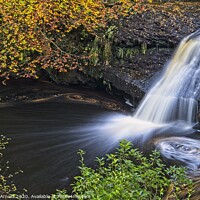 Buy canvas prints of Hamsterley Forest Woodland Waterfall by Martyn Arnold