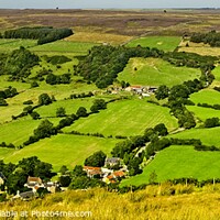 Buy canvas prints of Ryedale Landscape, North York Moors Landscapes by Martyn Arnold