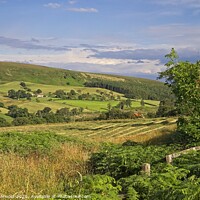 Buy canvas prints of Countryside View from Hawnby Moorgate, North York  by Martyn Arnold