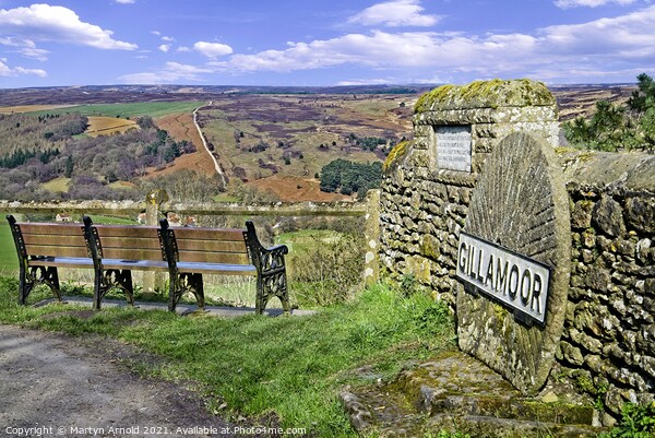 North York Moors Landscape from Gillamoor Picture Board by Martyn Arnold