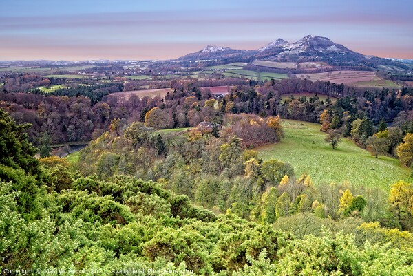 Scott's View, Melrose, Scottish Borders Picture Board by Martyn Arnold