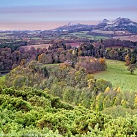 Buy canvas prints of Scott's View, Melrose, Scottish Borders by Martyn Arnold
