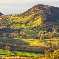 Buy canvas prints of Scott's View Eildon Hills Melrose by Martyn Arnold