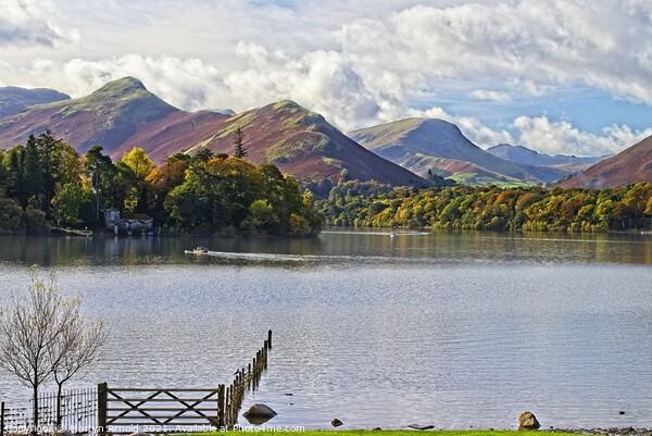 Catbells Fell and Skelgill across Derwentwater Picture Board by Martyn Arnold