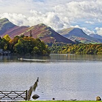 Buy canvas prints of Catbells Fell and Skelgill across Derwentwater by Martyn Arnold