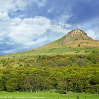Buy canvas prints of Roseberry Topping by Martyn Arnold