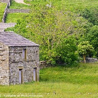 Buy canvas prints of Swaledale Stone Barns at Muker by Martyn Arnold