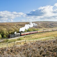 Buy canvas prints of Steaming over the moors by Paula Connelly