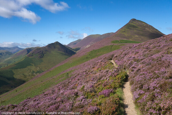 The Path to Causey Pike Picture Board by Paula Connelly