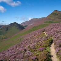Buy canvas prints of The Path to Causey Pike by Paula Connelly