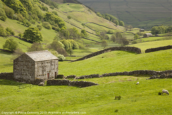 Swaledale Picture Board by Paula Connelly