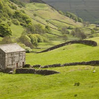 Buy canvas prints of Swaledale by Paula Connelly