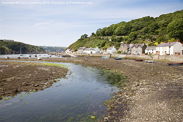 Lower Fishguard, Pembrokeshire Picture Board by Paula Connelly