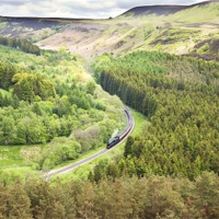 Buy canvas prints of North York Moors Railway by Paula Connelly
