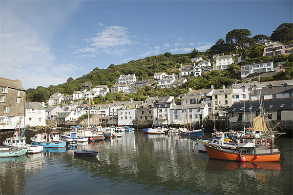 Polperro, Cornwal Picture Board by Paula Connelly