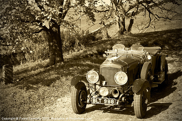 Vintage Car Picture Board by Paula Connelly