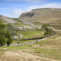 Buy canvas prints of Ingleborough in the Yorkshire Dales by Paula Connelly