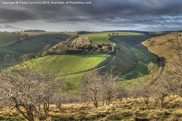 Yorkshire Wolds Picture Board by Paula Connelly