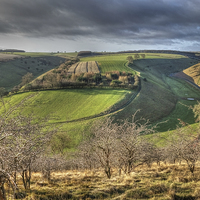 Buy canvas prints of Yorkshire Wolds by Paula Connelly