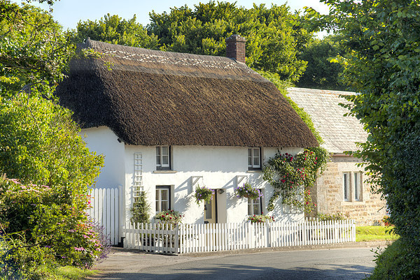 Thatched Cottage Picture Board by Paula Connelly
