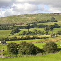 Buy canvas prints of Wensleydale by Paula Connelly