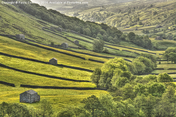 Swaledale Picture Board by Paula Connelly