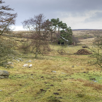 Buy canvas prints of Tranquil scene on the North York Moors by Paula Connelly