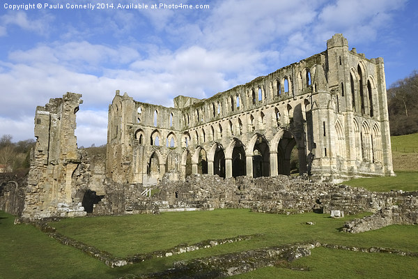 Rievaulx Abbey, North Yorkshire Picture Board by Paula Connelly