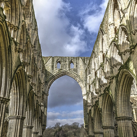 Buy canvas prints of Rievaulx Abbey, North Yorkshire by Paula Connelly