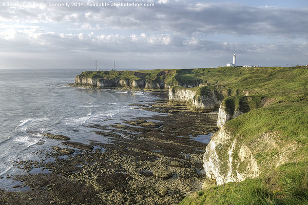 Flamborough Head Picture Board by Paula Connelly