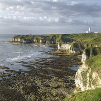 Buy canvas prints of Flamborough Head by Paula Connelly