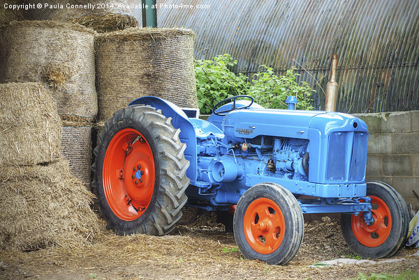 Blue Tractor Picture Board by Paula Connelly
