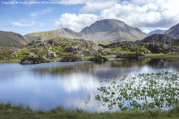  Innominate Tarn and Great Gable Picture Board by Paula Connelly
