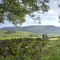 Buy canvas prints of  Yorkshire Dales View by Paula Connelly