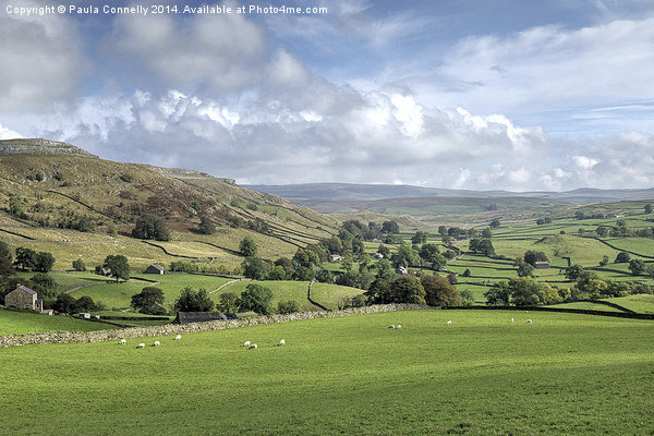  Yorkshire Dales Landscape Picture Board by Paula Connelly