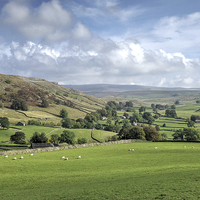 Buy canvas prints of  Yorkshire Dales Landscape by Paula Connelly