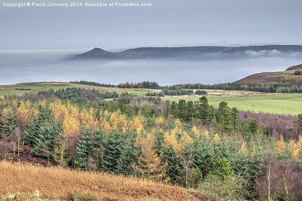  Mist surrounds Roseberry Topping Picture Board by Paula Connelly