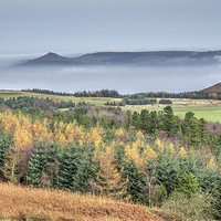 Buy canvas prints of  Mist surrounds Roseberry Topping by Paula Connelly