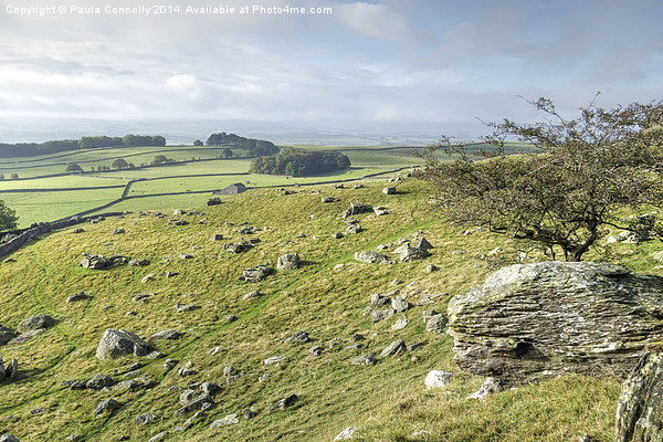  Yorkshire Dales View Picture Board by Paula Connelly