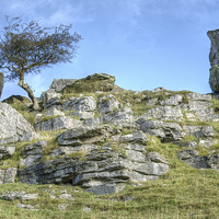 Buy canvas prints of Yorkshire Dales Limestone by Paula Connelly