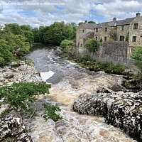 Buy canvas prints of Linton Falls in the Yorkshire Dales by Paula Connelly