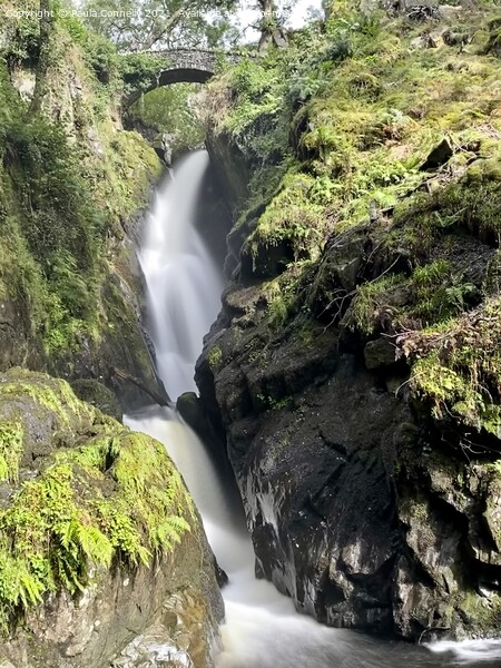 Aira Force Picture Board by Paula Connelly