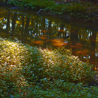Buy canvas prints of Stream Reflection with Dappled Sunlight by Scott Hubert