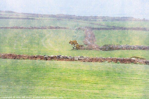 Cornish Landscape with Tree Picture Board by Jean Gill
