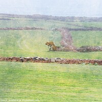 Buy canvas prints of Cornish Landscape with Tree by Jean Gill