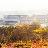 Buy canvas prints of Cornish Farmhouse in Gorse by Jean Gill