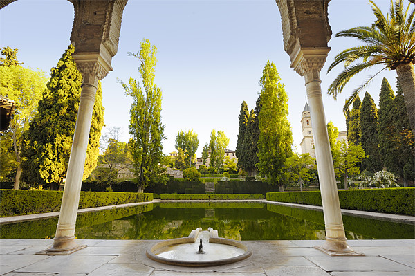 Nasrid Palace Alhambra Spain Picture Board by Jean Gill